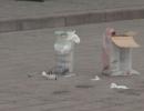 В Одесі ще один вибуховий пристрій вдалося знешкодити (ФОТО)