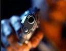 У центрі Харкова розстріляли чоловіка