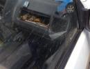 Побиття людей за георгіївську стрічку можна врахувати як черговий прояв беззаконня - політолог