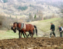 У землі має бути хазяїн - заявив Віктор Янукович