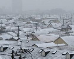 Японія потерпає від стихійного лиха