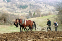 У землі має бути хазяїн - заявив Віктор Янукович