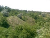  О жизни на селе…