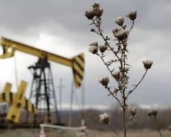 Барель нафти «Brent» коштує вже менше 50 доларів